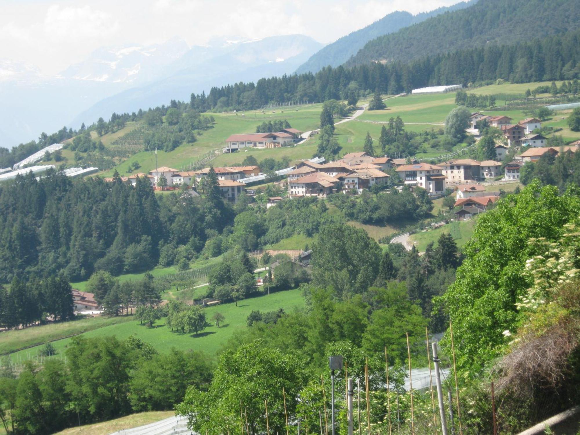 Agriturismo Pisani Brez Exterior photo